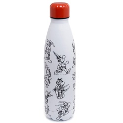 Asterix Värmeisolerad Flaska 500ml